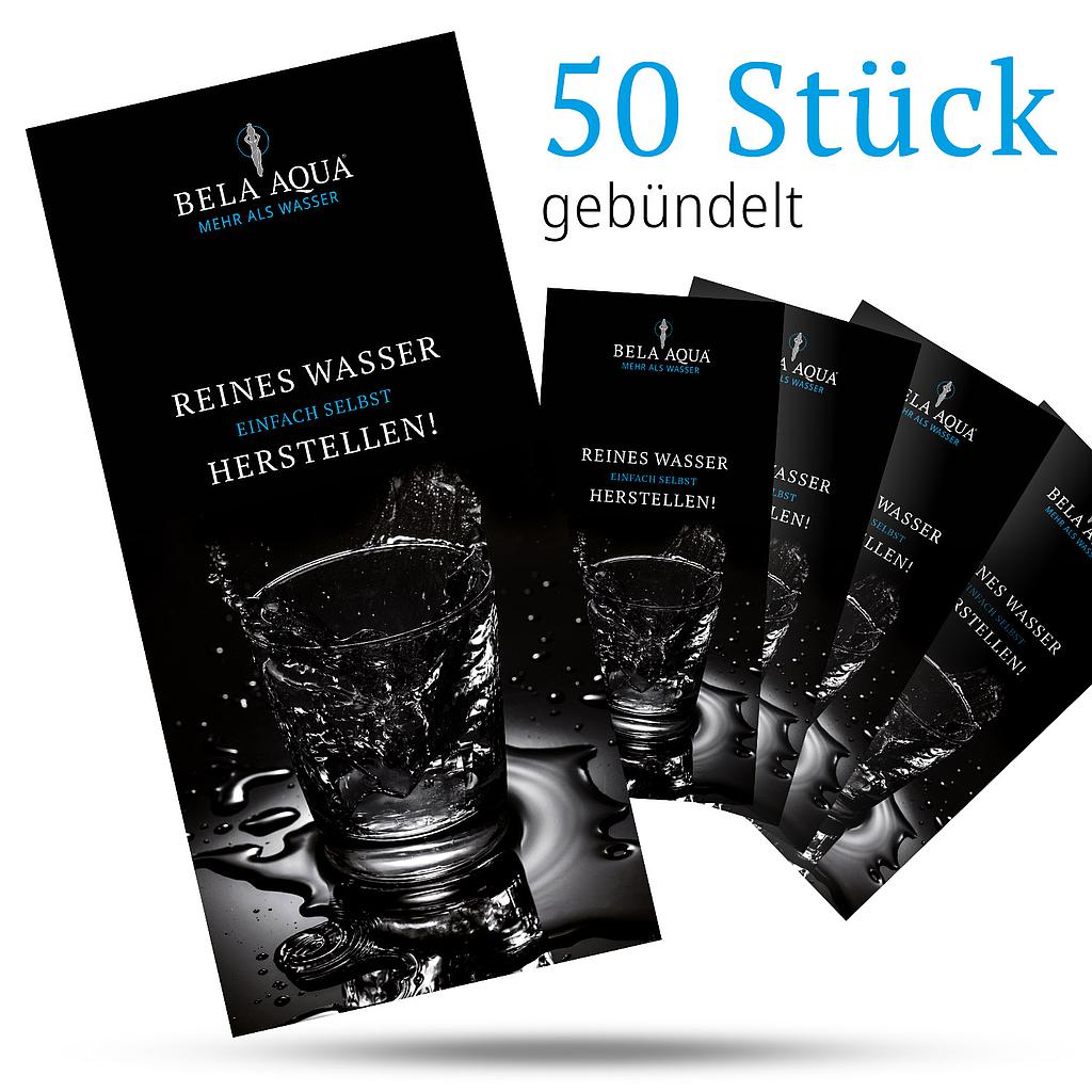 Faltblatt Evolution - 6-seitig - 50 Stück